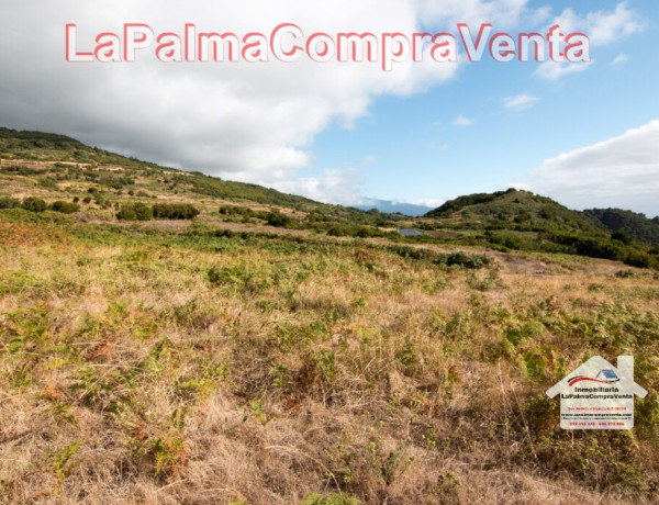 Land being developed For sell in Villa De Mazo in Santa Cruz de Tenerife 