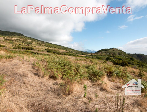 Land being developed For sell in Villa De Mazo in Santa Cruz de Tenerife 