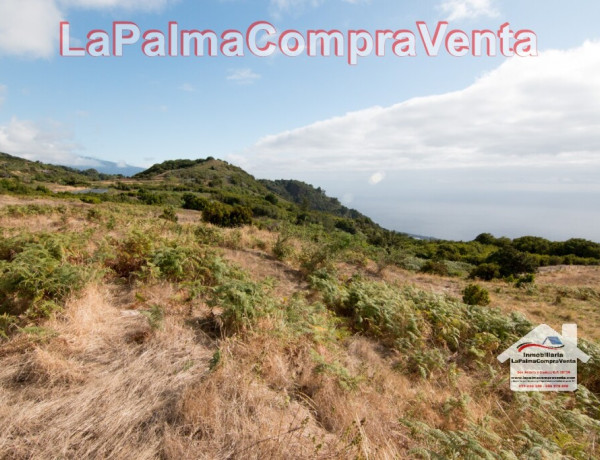 Land being developed For sell in Villa De Mazo in Santa Cruz de Tenerife 