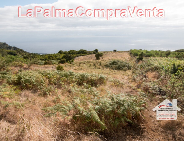 Land being developed For sell in Villa De Mazo in Santa Cruz de Tenerife 