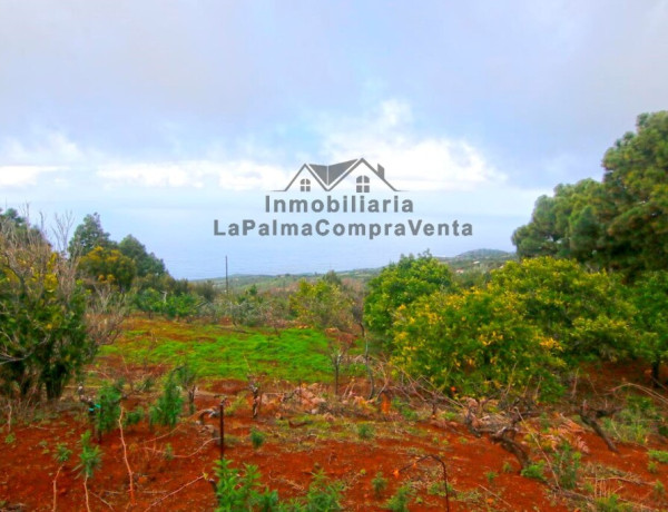 Casa de campo-Masía en Venta en Llano Negro Santa Cruz de Tenerife 