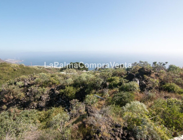 Rustic land For sell in Lodero in Santa Cruz de Tenerife 