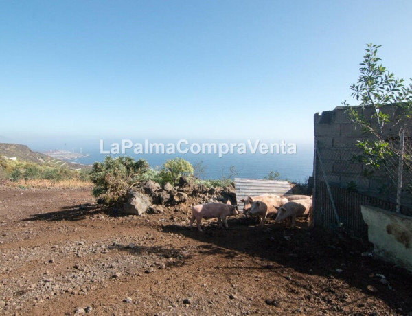 Rustic land For sell in Lodero in Santa Cruz de Tenerife 