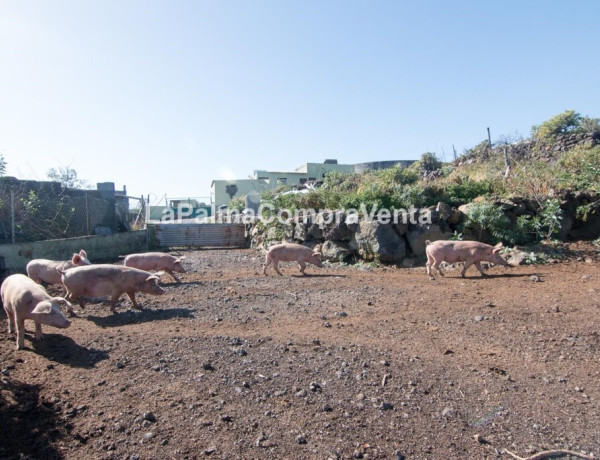 Rustic land For sell in Lodero in Santa Cruz de Tenerife 