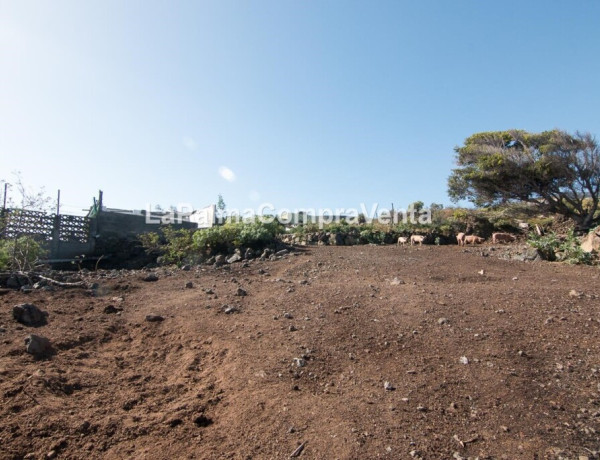 Rustic land For sell in Lodero in Santa Cruz de Tenerife 