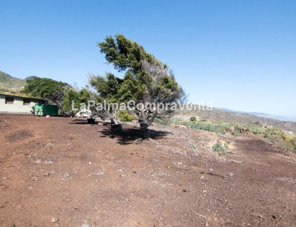 Rustic land For sell in Lodero in Santa Cruz de Tenerife 