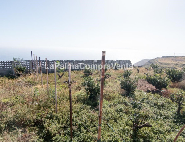 Rustic land For sell in Lodero in Santa Cruz de Tenerife 