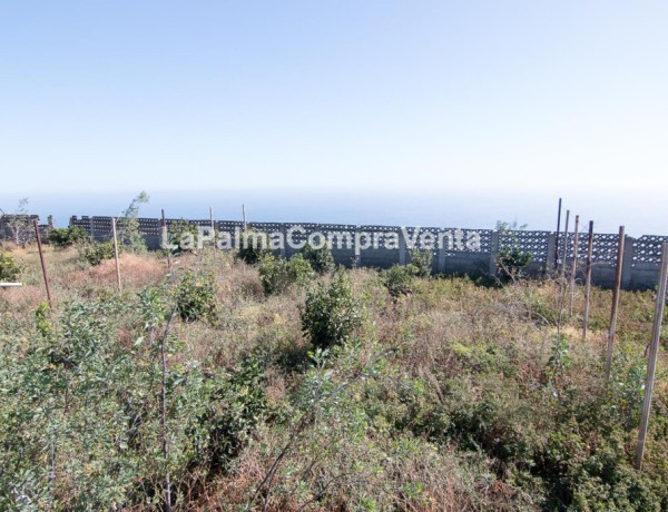 Rustic land For sell in Lodero in Santa Cruz de Tenerife 