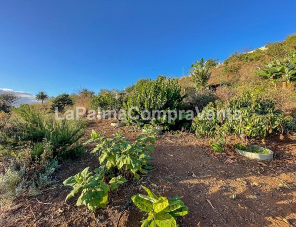 Casa-Chalet en Venta en Breña Alta Santa Cruz de Tenerife 