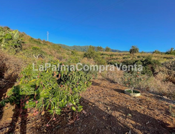 Casa-Chalet en Venta en Breña Alta Santa Cruz de Tenerife 