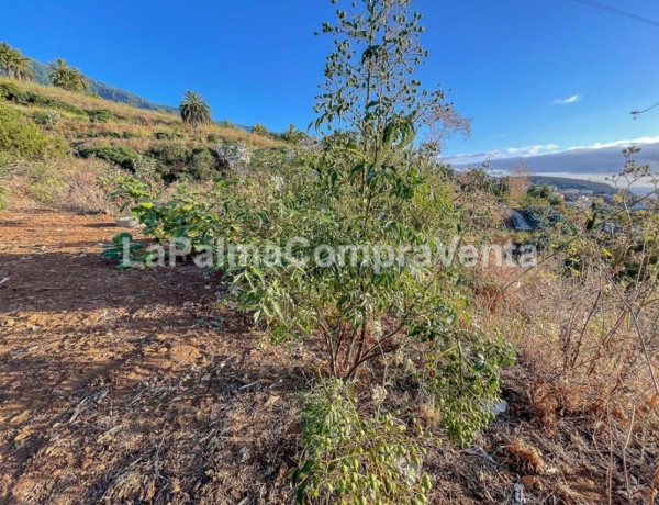 Casa-Chalet en Venta en Breña Alta Santa Cruz de Tenerife 