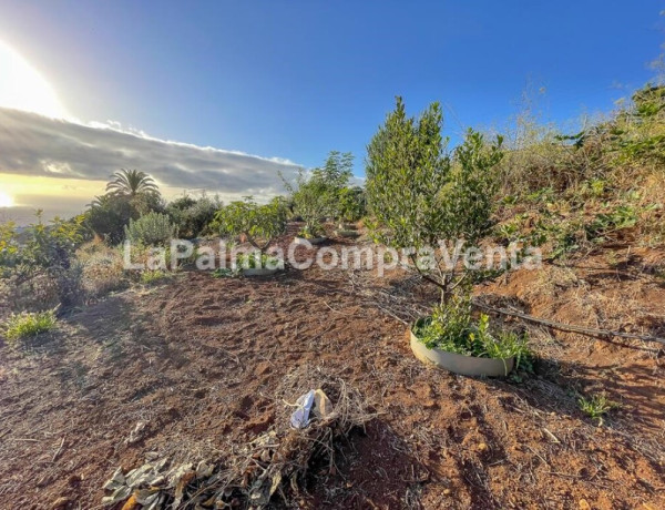 Casa-Chalet en Venta en Breña Alta Santa Cruz de Tenerife 