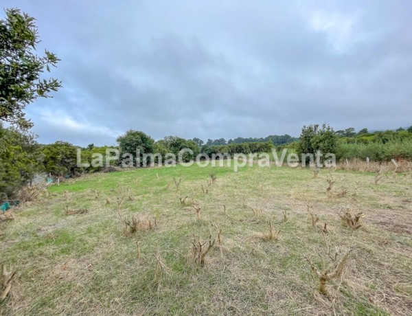 Suelo rústico en Venta en Roque Faro Santa Cruz de Tenerife 