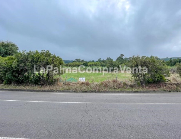 Suelo rústico en Venta en Roque Faro Santa Cruz de Tenerife 