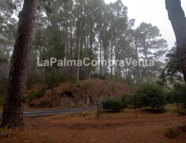 Suelo rústico en Venta en Roque Faro Santa Cruz de Tenerife 