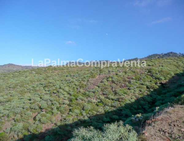 Land being developed For sell in Tricias, Las in Santa Cruz de Tenerife 