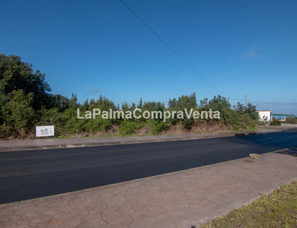 Solar industrial en Venta en Barlovento Santa Cruz de Tenerife 