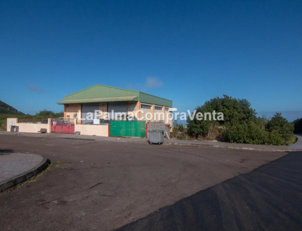 Solar industrial en Venta en Barlovento Santa Cruz de Tenerife 