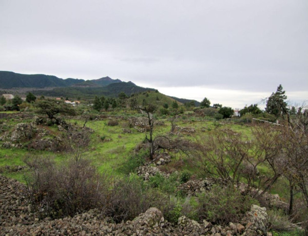 Solar residencial en Venta en Paso, El Santa Cruz de Tenerife