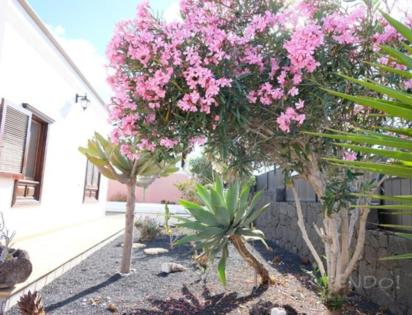 Casa-Chalet en Venta en Guime (Lanzarote) Las Palmas Ref: CT 7992