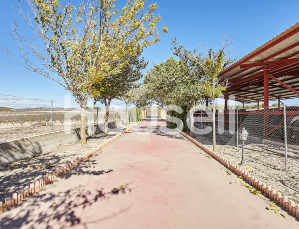 Chalet en venta de 284 m² Pasaje Ruta, 03650 Pinós (el)/Pinoso (Alacant)