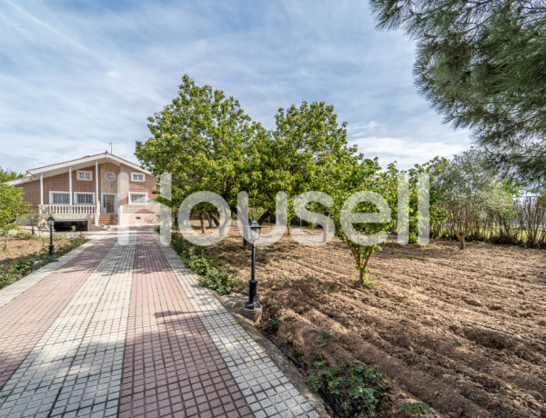 Chalet de 455 m³ Camino de Vadillo, 47320 Tudela de Duero (Valladolid)