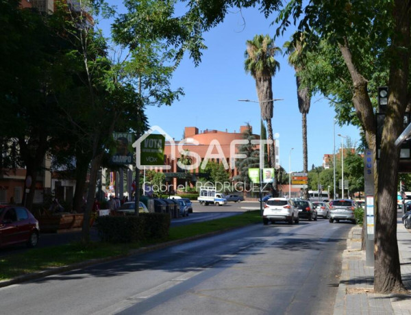 Avenida Cristobal Colon