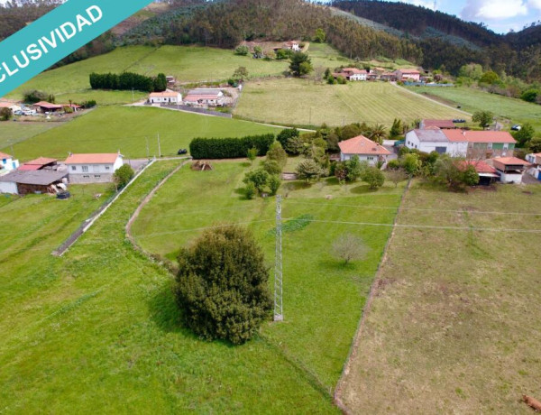 Tu refugio de ensueño en la naturaleza asturiana: serenidad y comodidad en un lugar especial