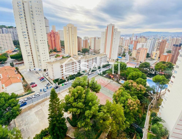 ¡¡OPORTUNIDAD DE COMPRA inversores y particulares!! Luminoso apartamento en Benidorm -- SIN COMISIÓN DE COMPRA--