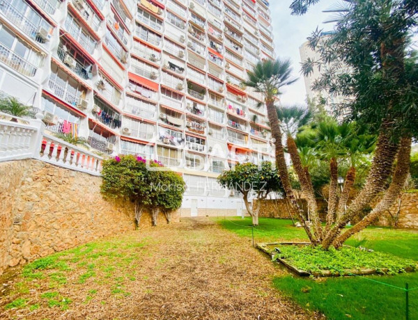 ¡¡OPORTUNIDAD DE COMPRA inversores y particulares!! Luminoso apartamento en Benidorm -- SIN COMISIÓN DE COMPRA--