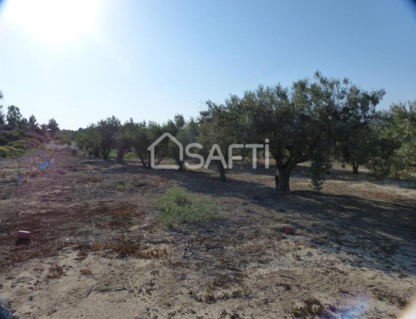 Rustic land For sell in Fortuna in Murcia 