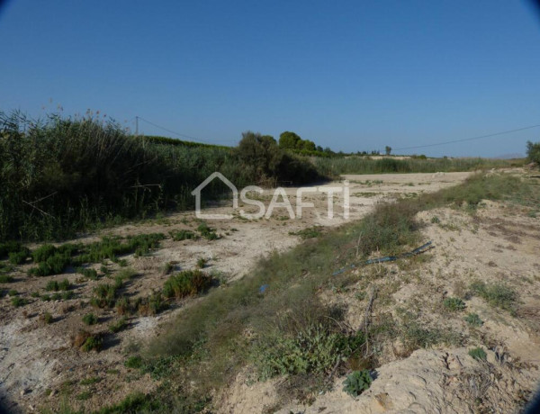 Rustic land For sell in Fortuna in Murcia 