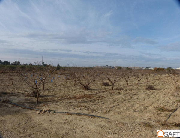 Rustic land For sell in Fortuna in Murcia 