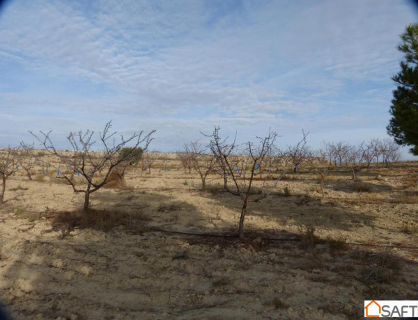 Rustic land For sell in Fortuna in Murcia 