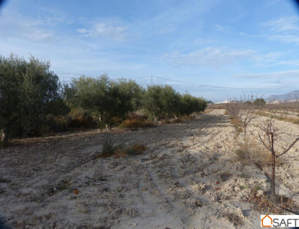 Rustic land For sell in Fortuna in Murcia 