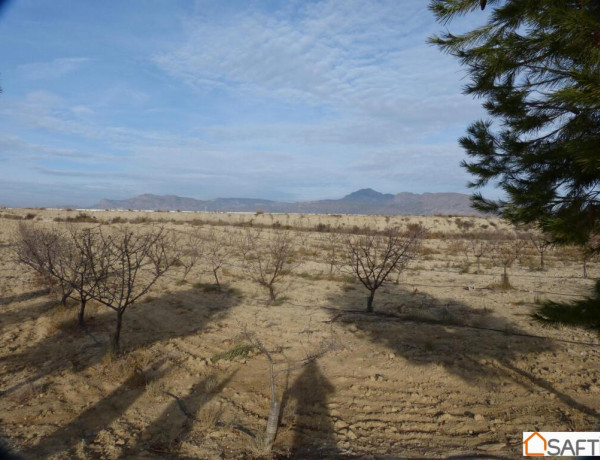 Se vende gran parcela rústica Fortuna Murcia