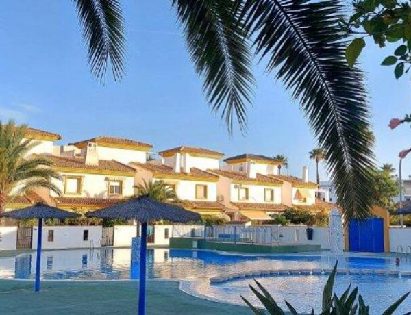 Oliva Nova: ¡Oportunidad! Se vende bajo grande a un paso de la playa