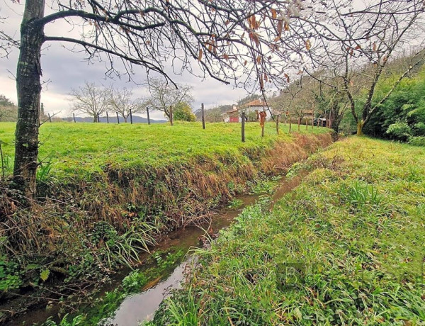 SINGULAR CASA MOLINO DEL SIGLO XVIII EN ASTURIAS.