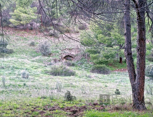 IMPRESIONANTE TERRENO DE 60 HECTÁREAS CON CASA RÚSTICA EN VALDEMORILLO, MADRID.