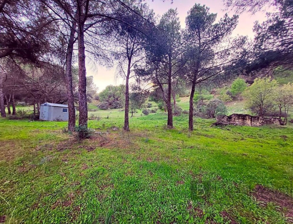 IMPRESIONANTE TERRENO DE 60 HECTÁREAS CON CASA RÚSTICA EN VALDEMORILLO, MADRID.