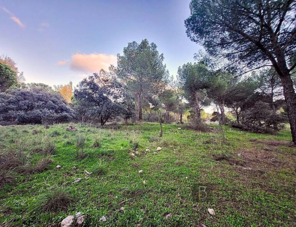 IMPRESIONANTE TERRENO DE 60 HECTÁREAS CON CASA RÚSTICA EN VALDEMORILLO, MADRID.