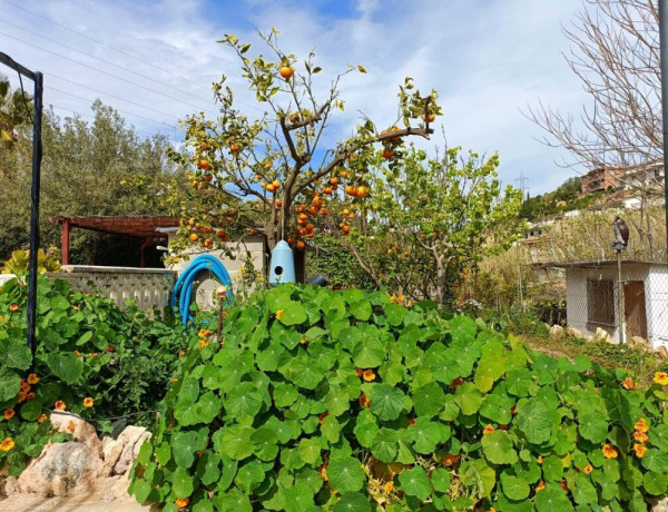 Casa Independiente Segur de Calafell