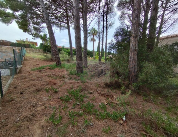 Residential land For sell in Pals in Girona 