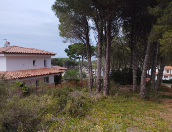 Residential land For sell in Pals in Girona 