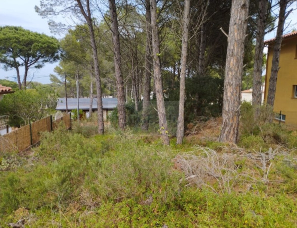 Residential land For sell in Pals in Girona 