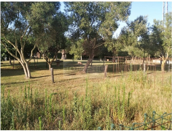 Casa de campo-Masía en Venta en Llagostera Girona Ref: VM-10188