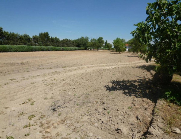 Terreno en venta en Alcorcón de 28000 m2