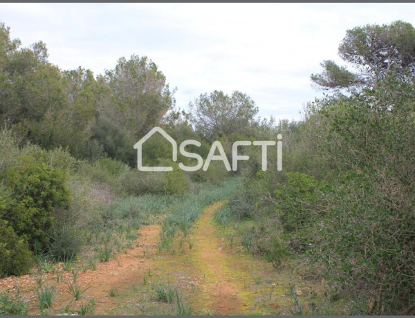 Amplio terreno agrario con pozo propio y mucha vegetacion, a pocos minutos de la playa