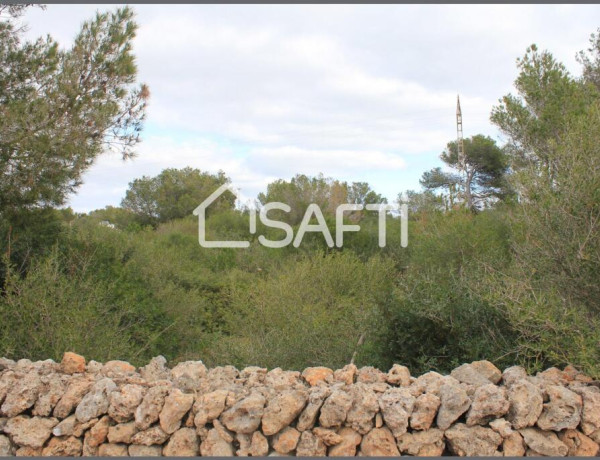 Amplio terreno agrario con pozo propio y mucha vegetacion, a pocos minutos de la playa