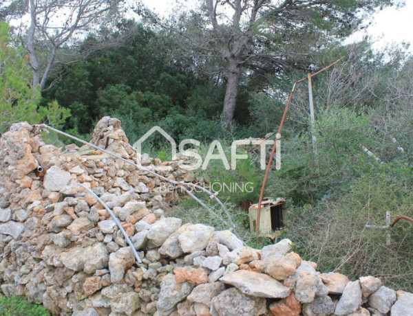 Amplio terreno agrario con pozo propio y mucha vegetacion, a pocos minutos de la playa